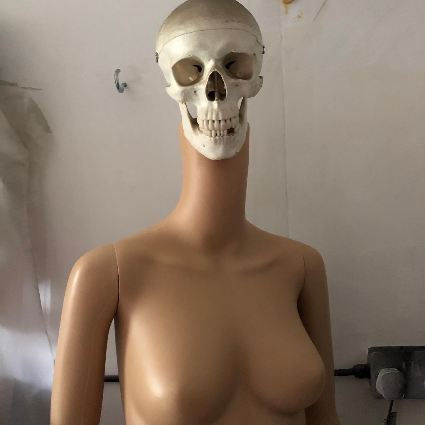 The request for a good looking female studio apprentice was not sanctioned by my beloved wife so I&rsquo;ve had to make my own.  Conversation is pretty terrible although the request to work topless was met without question.  #toplessskeleton #skeleto