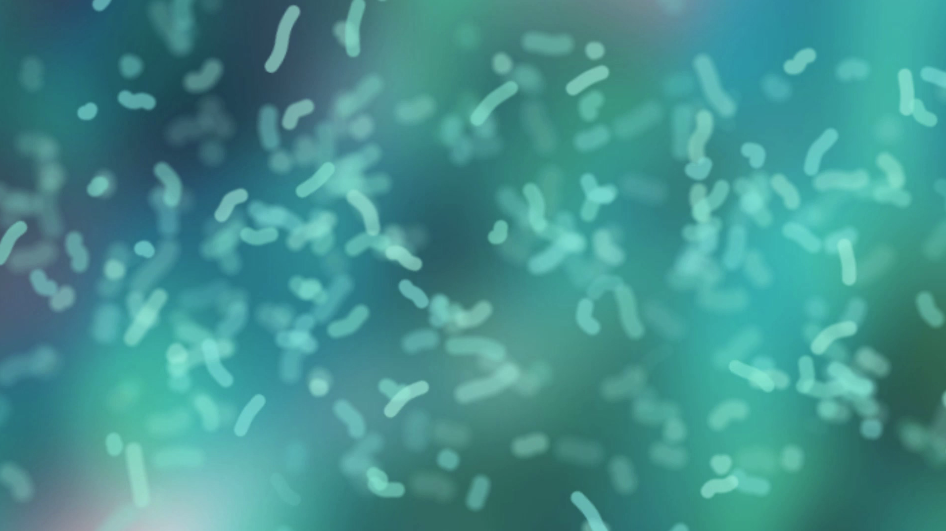 Bacteria fallbackimage.png