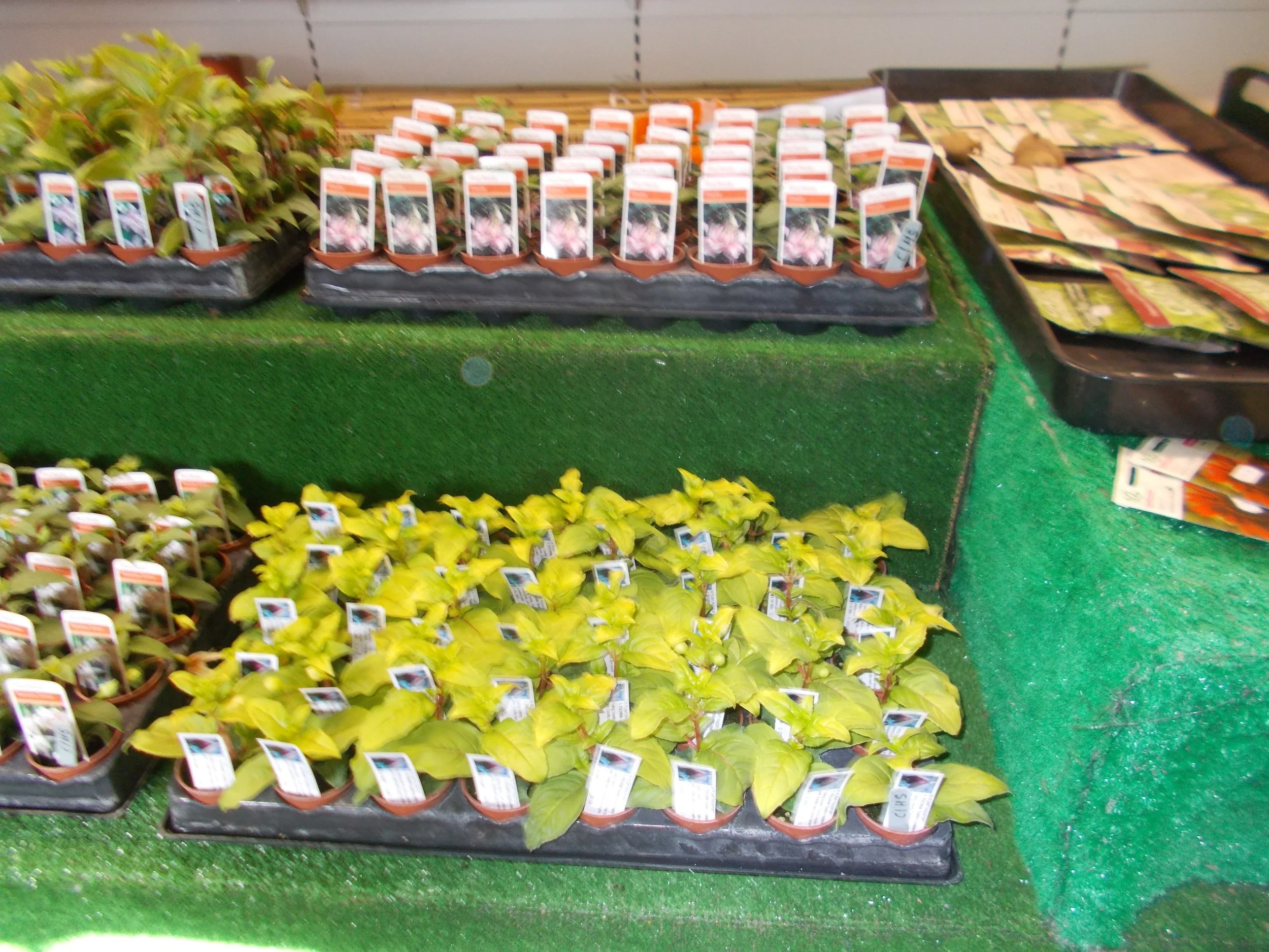 DSCN0879.JPG