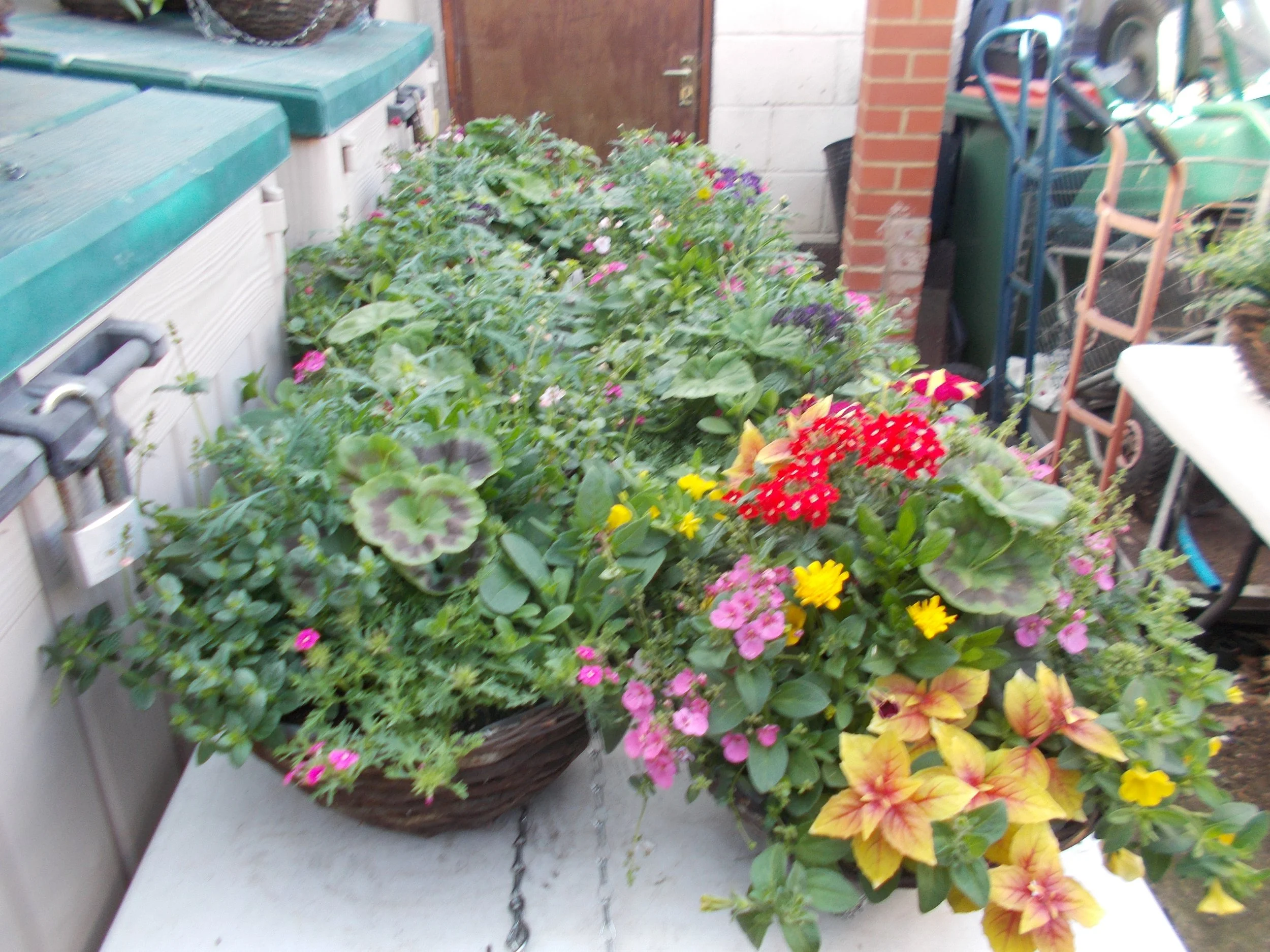 DSCN0881.JPG