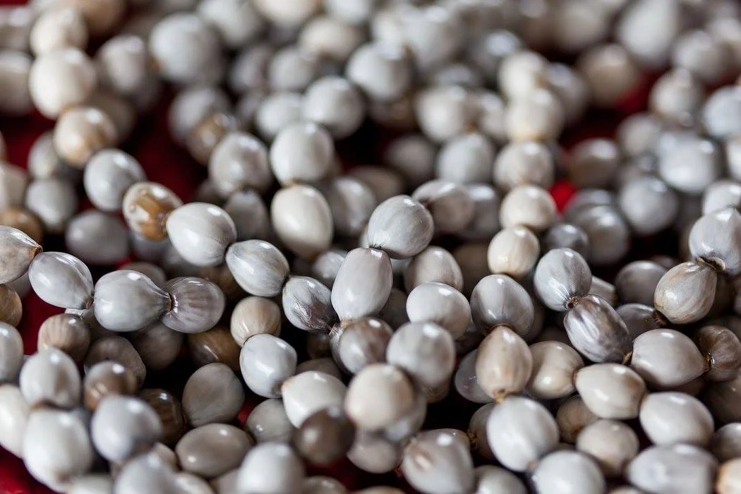 Example of Native Zulu Pearl Beads