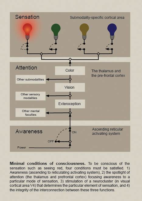 Selective Activation