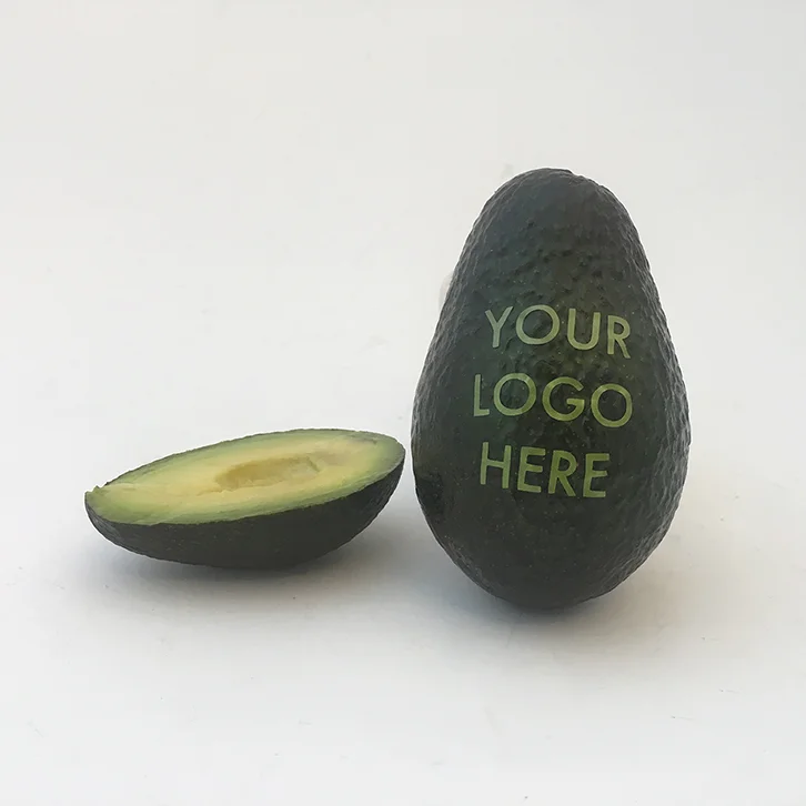 avocadologo.jpg