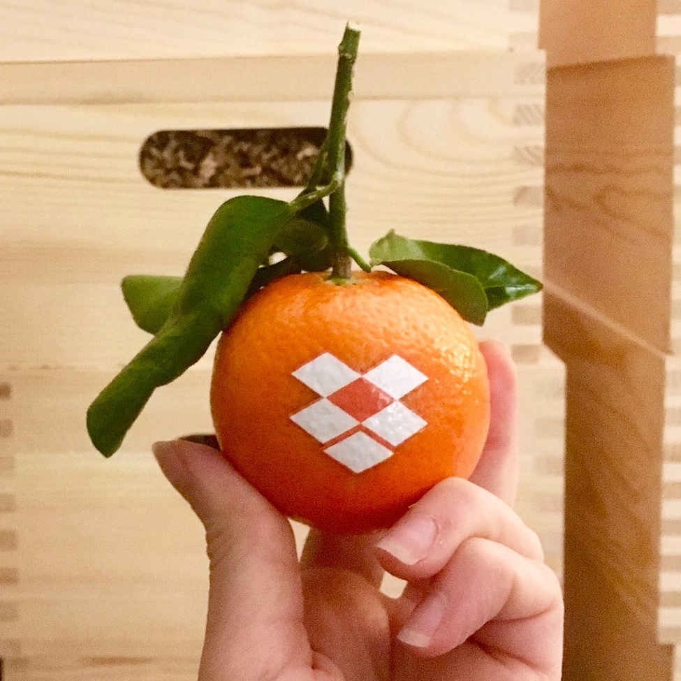 dropbox_clementine.jpg