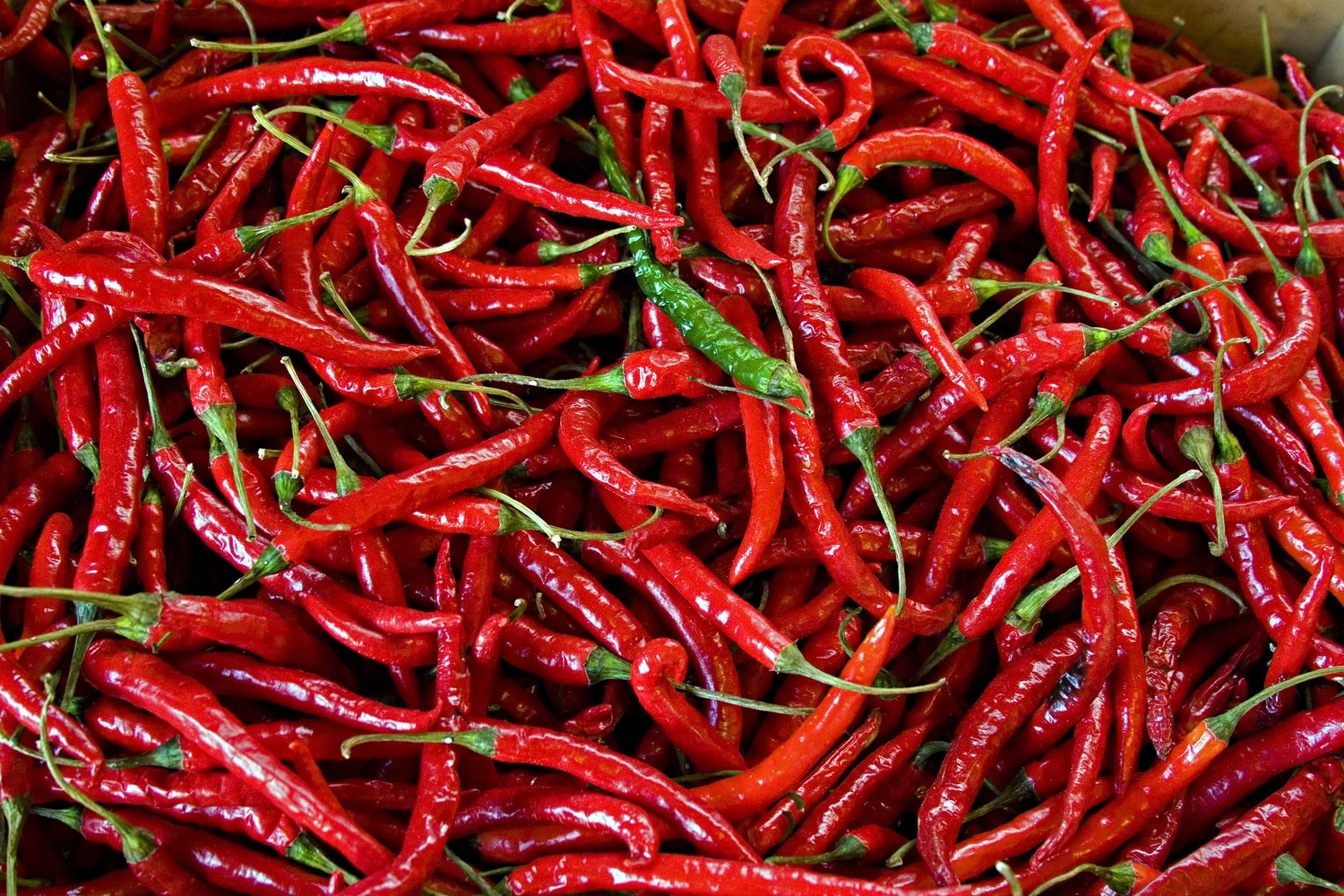 6 Amazing Health Benefits of a Cayenne Pepper Cleanse — Yobaba Lounge