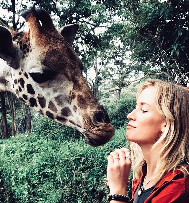 Stick your neck out its🦒World Giraffe Day. I have been fortunate to see, experience, and track giraffes in the wild with the San people. I have also had the amazing experience to nurse, support and protect orphans. 
These creatures are magical and t