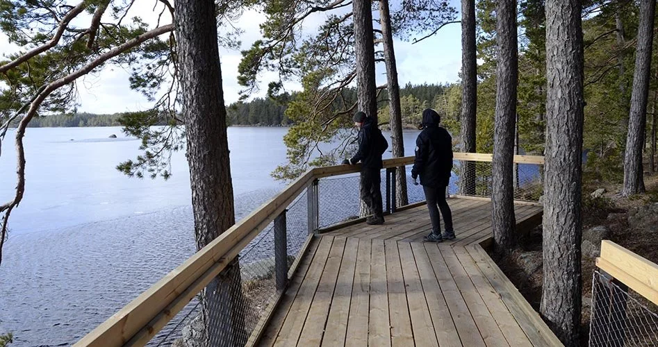 tiveden-nationalpark-vitsand-spang.jpg