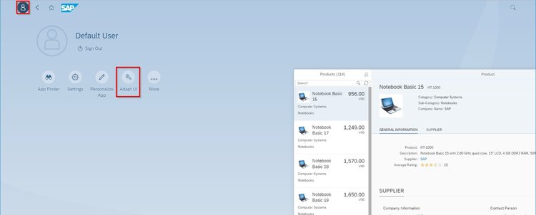Activeren+UI+Adaption+at+Runtime+(RTA).jpg