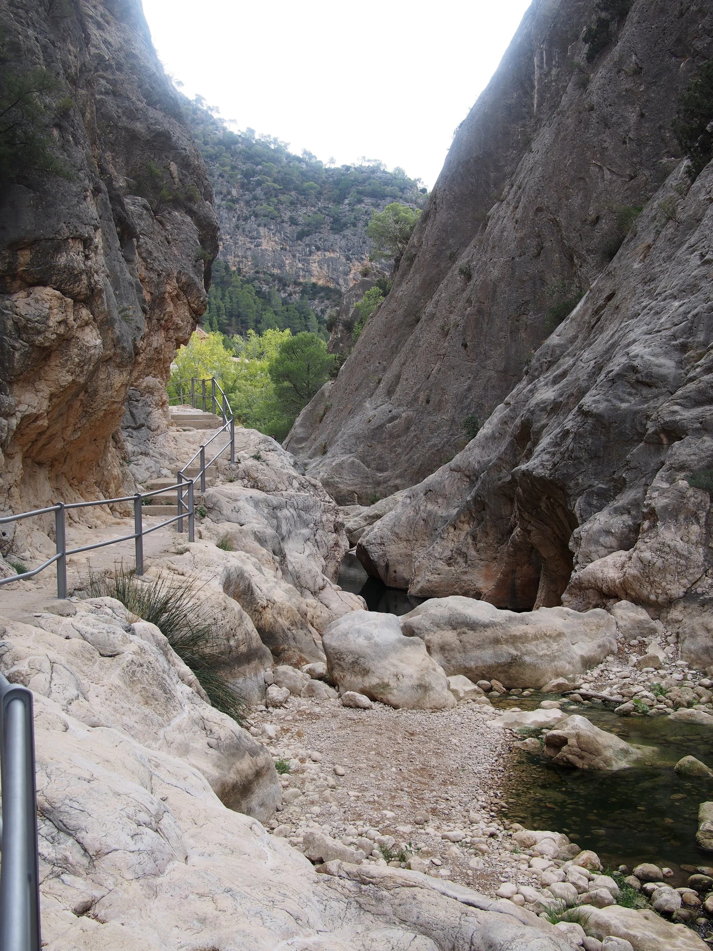 PA185055.jpg