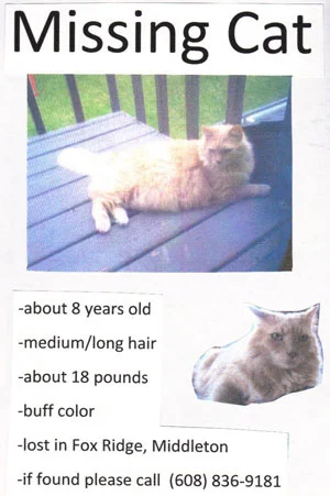 missing.jpg