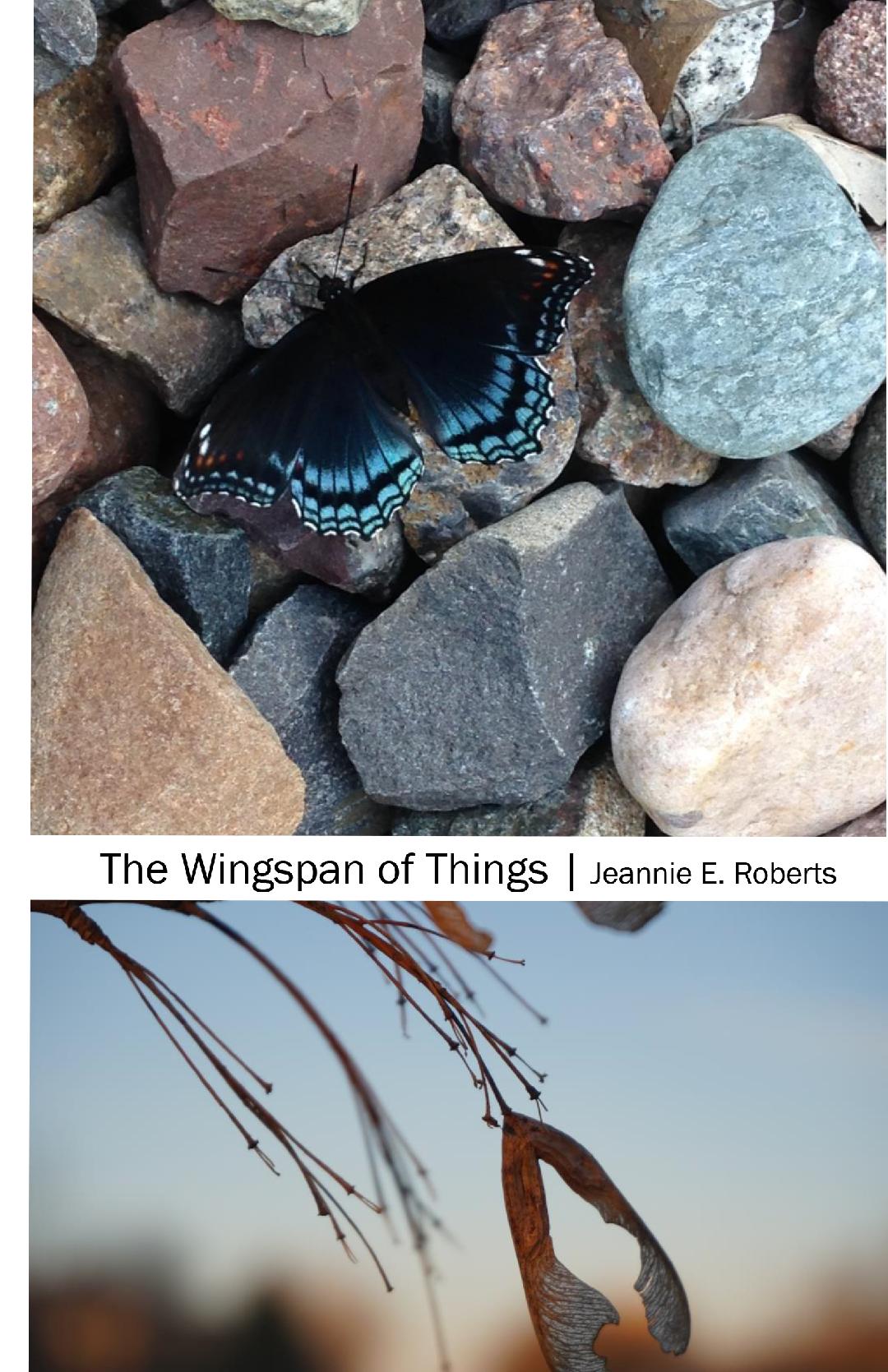 The Wingspan of Things_Cover.jpg