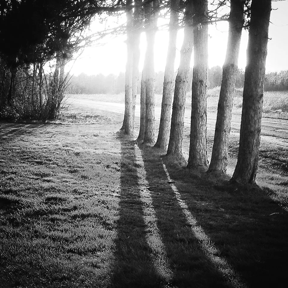 Evening Light by Jeannie E. Roberts