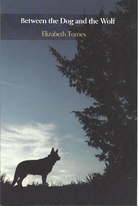 Between the Dog and the Wolf.JPG