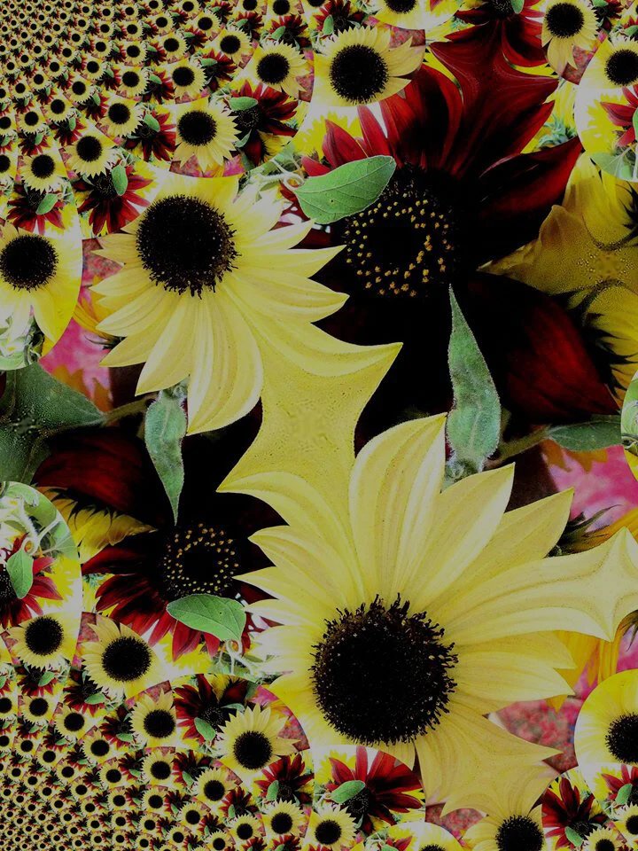 Cover with Filter.jpg
