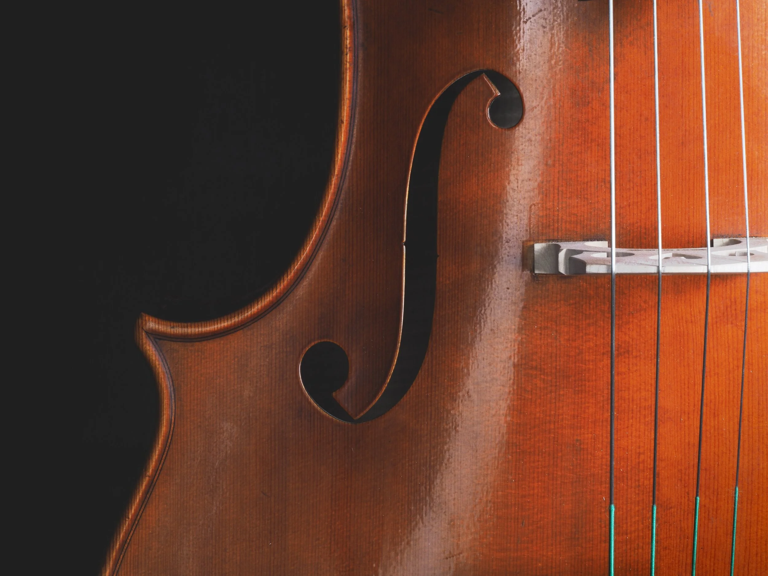 Old Violins