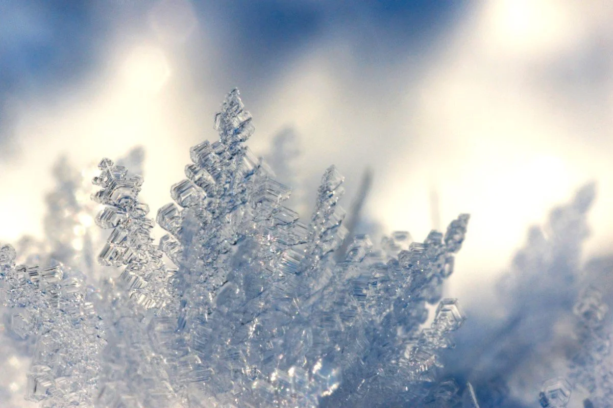 Ice Queen on [a] Pane