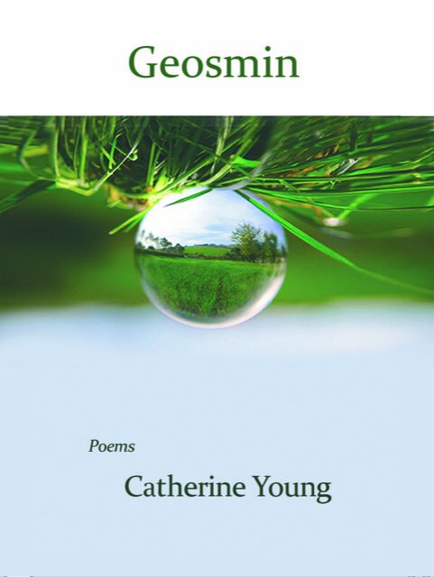 Geosmin front cover 700.jpg