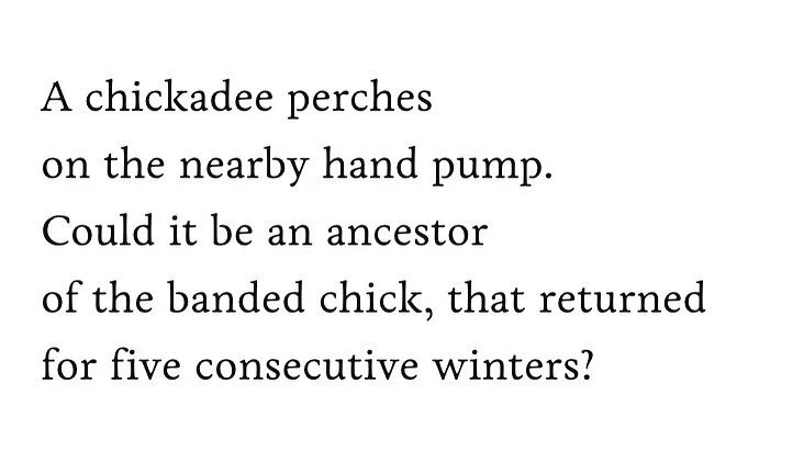 Anyone else want to chat with #aldoleopold ? Check out Peter Donndelinger&rsquo;s #epistolarypoem &ldquo;Dear Aldo&rdquo; in Bramble Summer 

#letterpoems #newpoetry #midwestlit #wisconsinpoet #ecopoetry