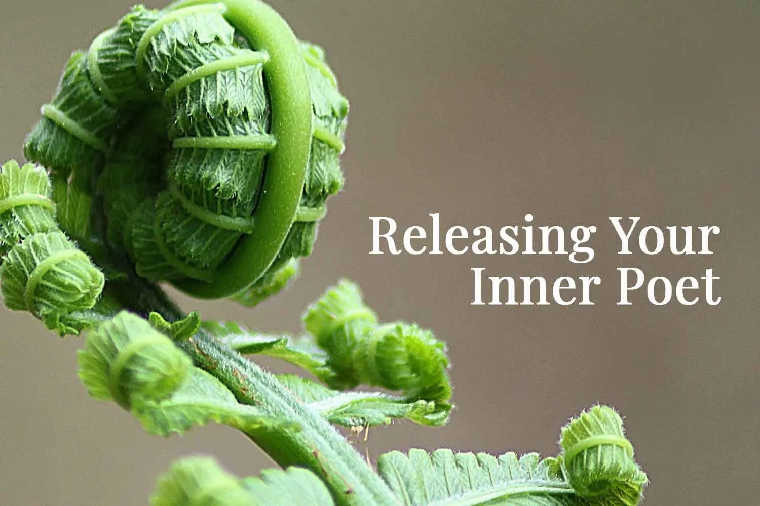 Releasing Your Inner Poet, Part 2