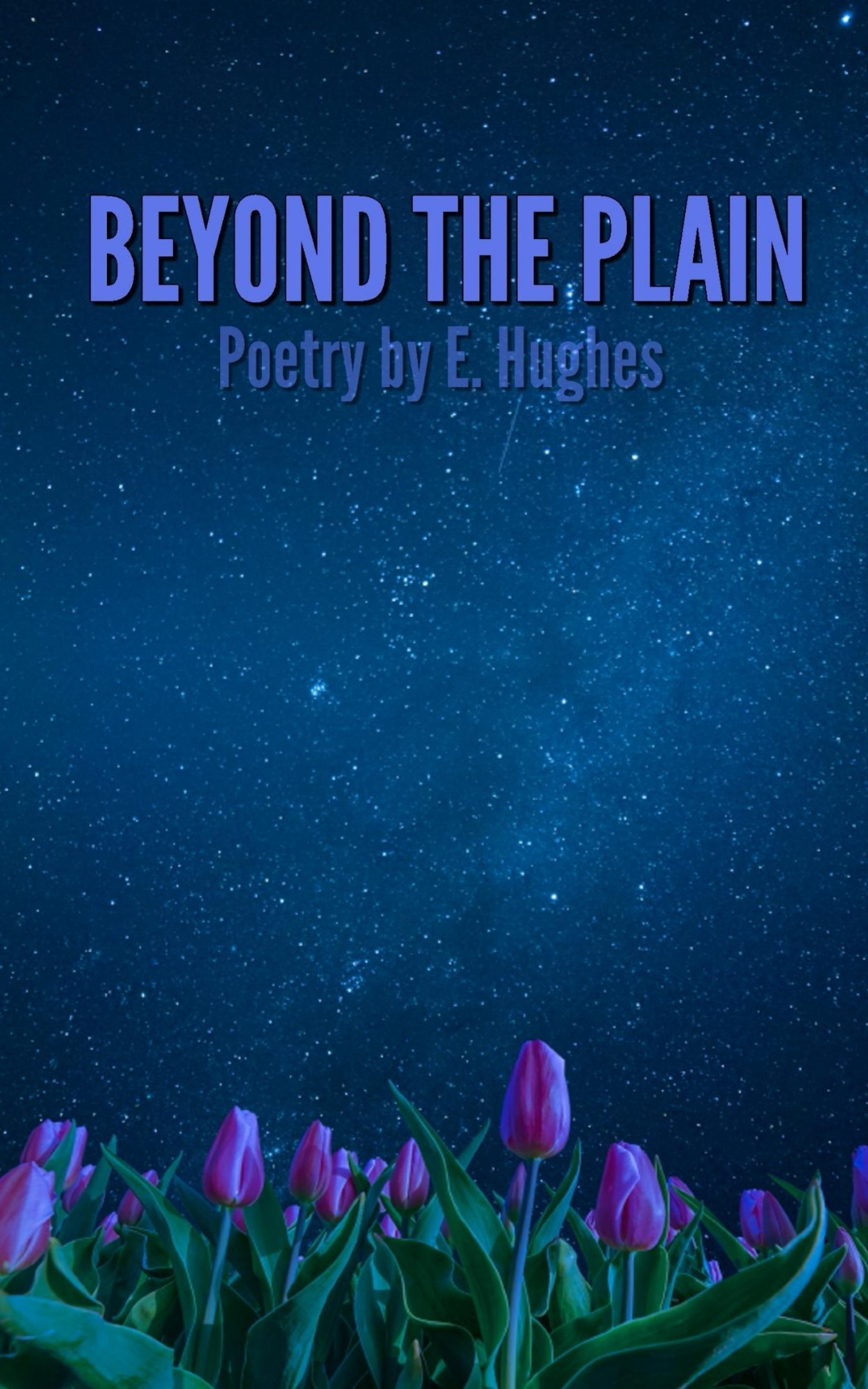 Beyond the Plain by E Hughes.jpg