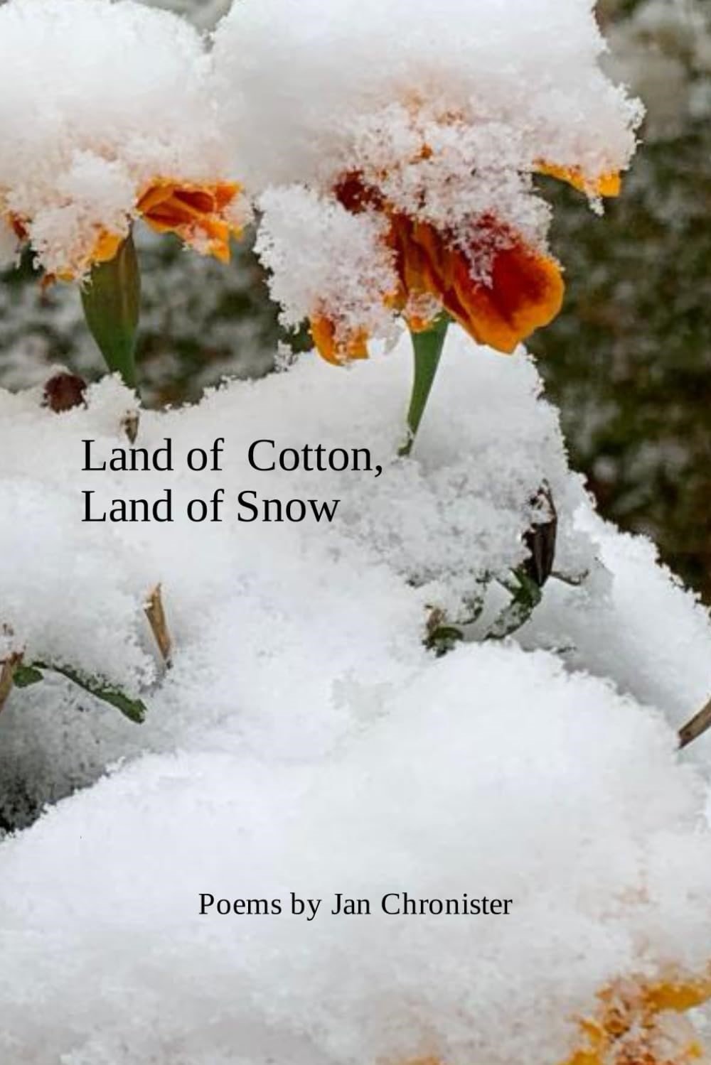 Land of Cotton, Land of Snow