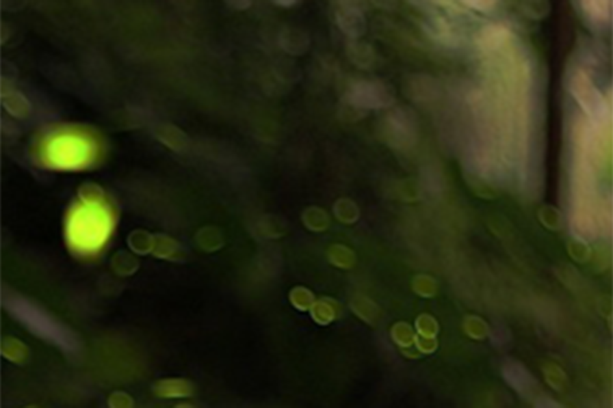 Two Poems 