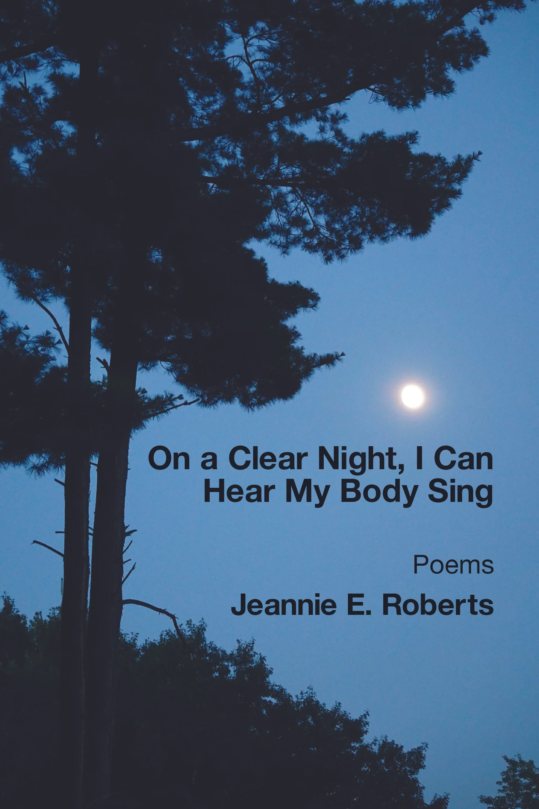 Front Book Cover_On a Clear Night.jpg