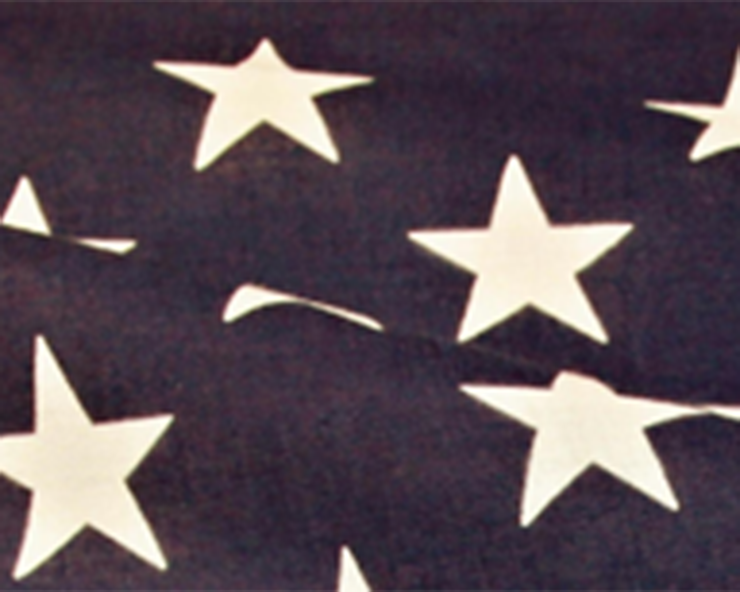 We Refugees (E pluribus unum)