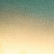 A Kale Sprout Seeks Enlightenment