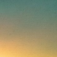 wild goose chase, a self-portrait