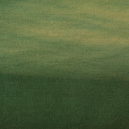 What Would I Want if I Had Twelve Wishes?