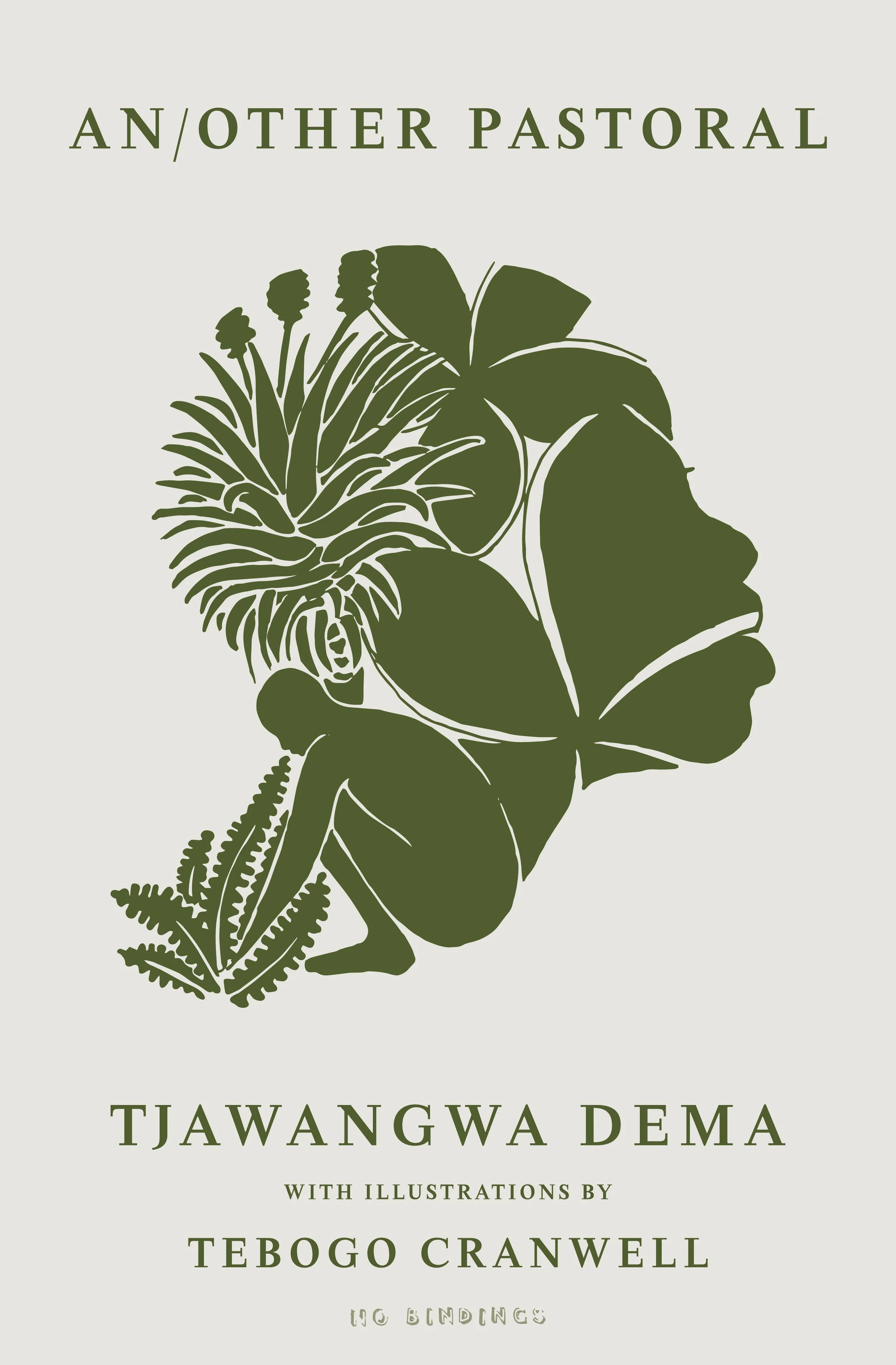 AP Book Cover (Centred OG SIZE).jpeg