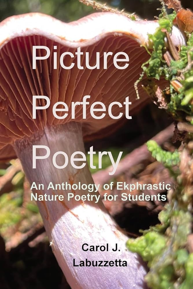 Picture Perfect.png