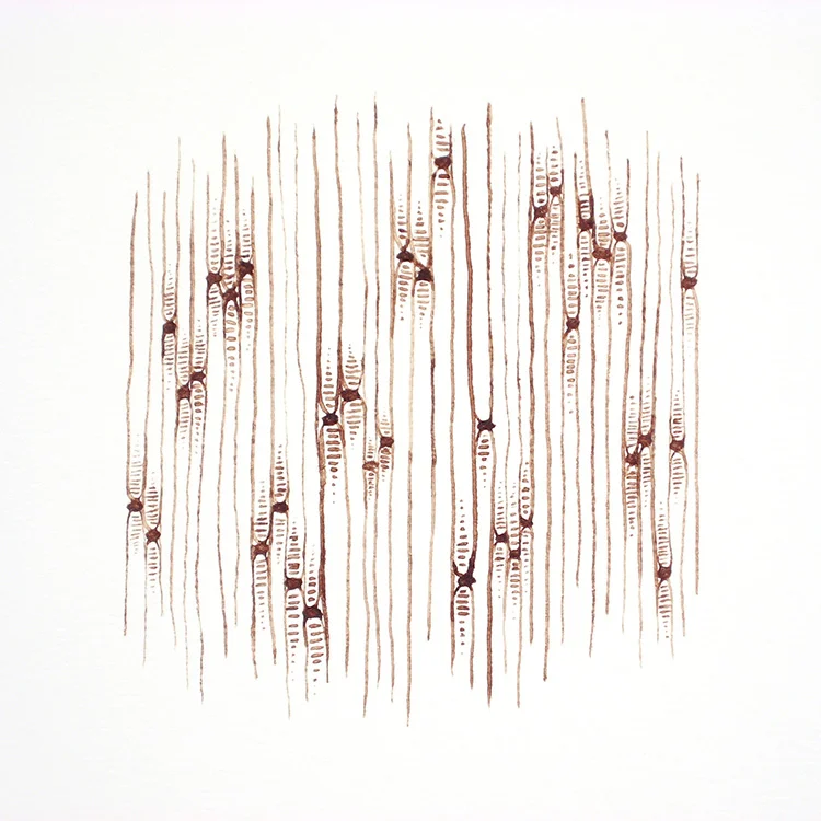 Thought Patterns
