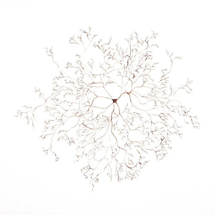Thought Patterns
