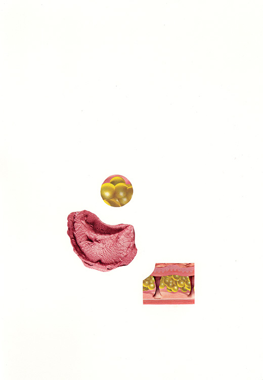 Reformulations