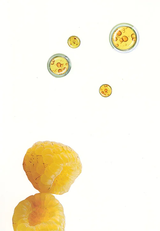 Reformulations