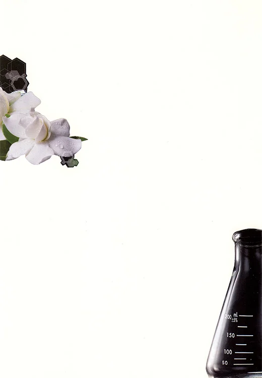 Reformulations