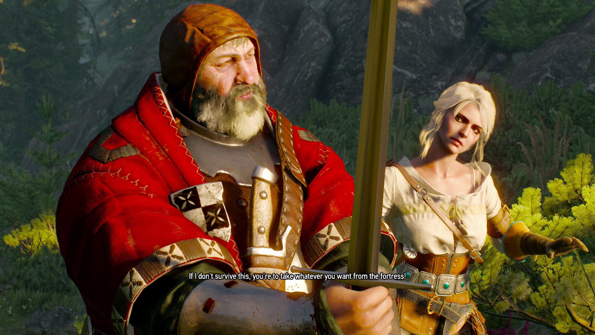 The witcher 3 барон фото 23