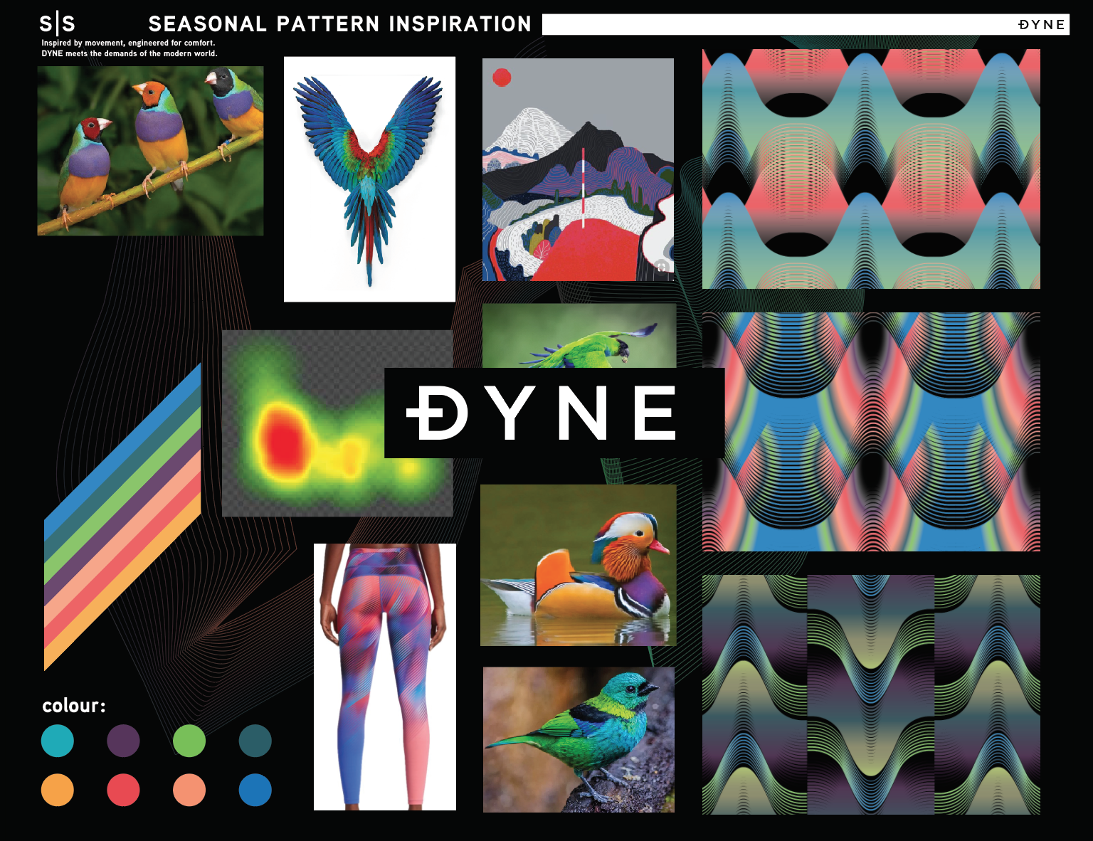 SS DYNE MOODBOARD.png