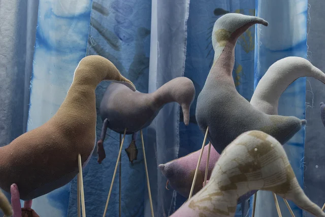 migrating ducks