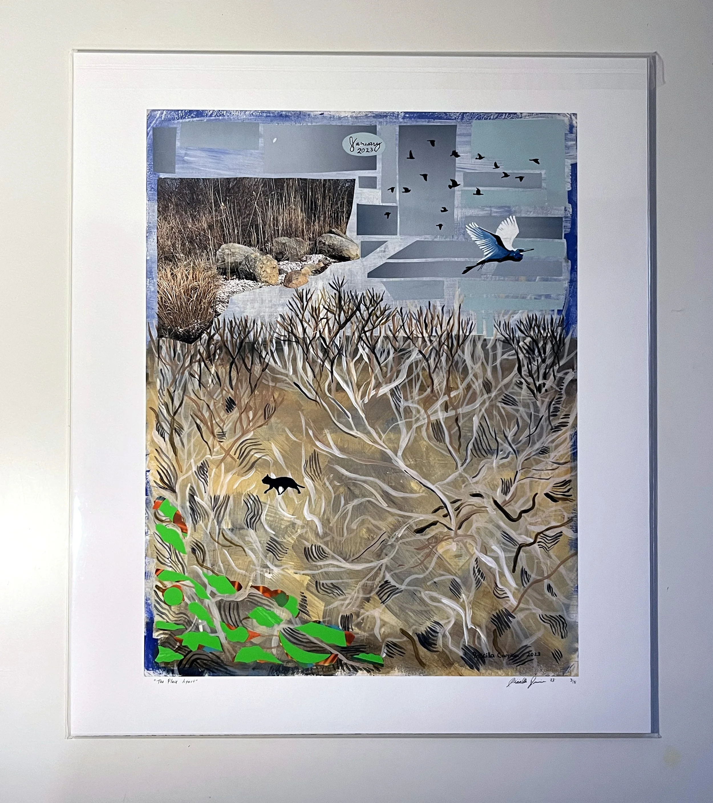 Print the place apart jan 2023.jpg