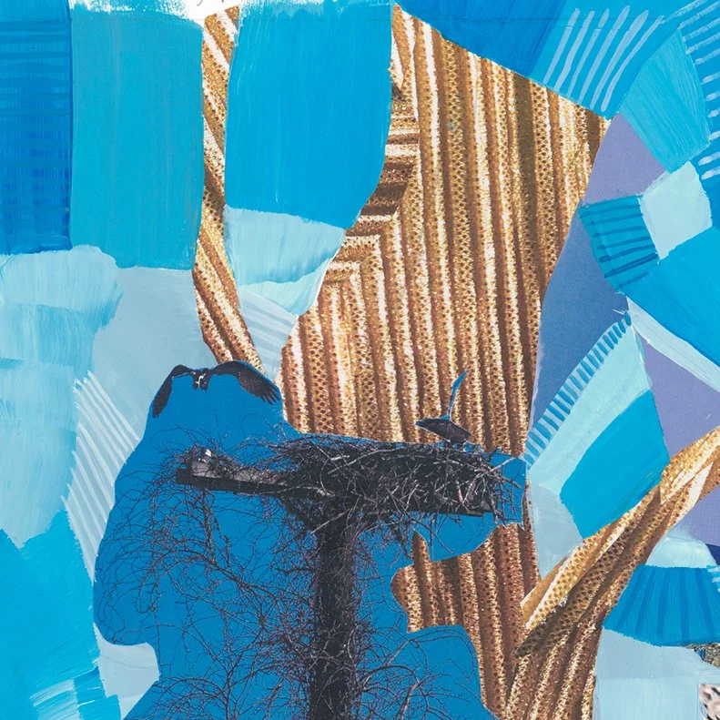 scan 2_aug2022-collage-WEB 2.jpg