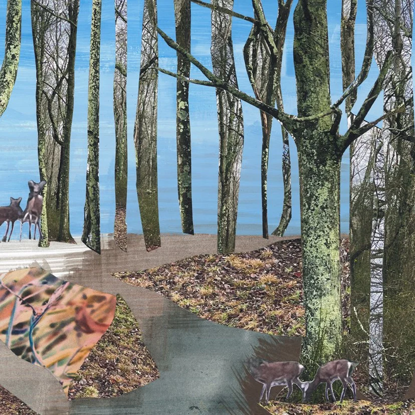 scan 3_dec2022-collage-WEB 5.jpg