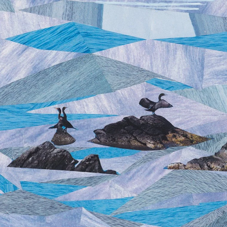 scan 1_july2022-collage-WEB 3.jpg