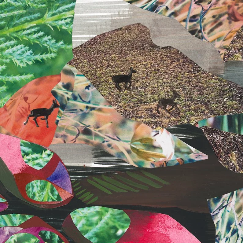 scan 3_dec2022-collage-WEB 3.jpg