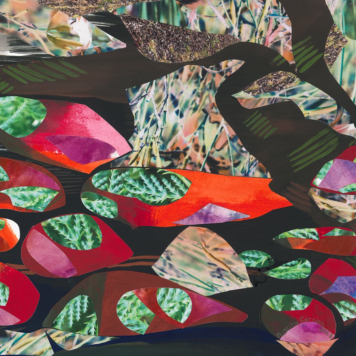 scan 3_dec2022-collage-WEB 6.jpg