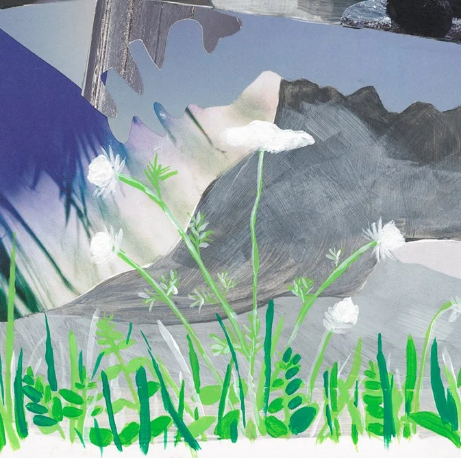 scan 1_july2022-collage-WEB 4.jpg