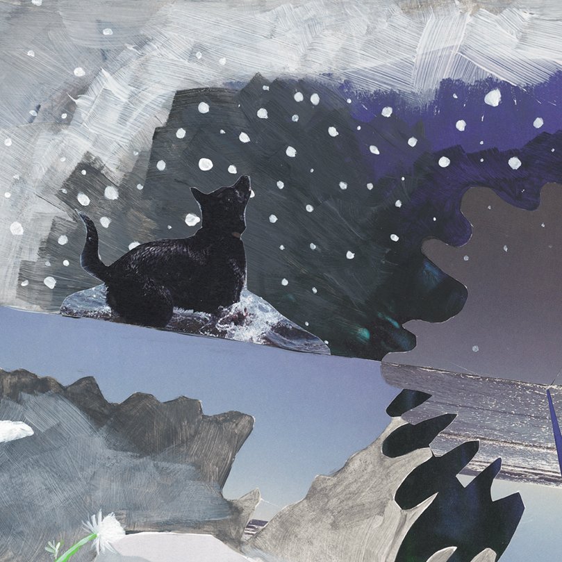 scan 1_july2022-collage-WEB 5.jpg