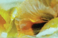 Cincinnati Art Museum Cafe' Photograph Installation